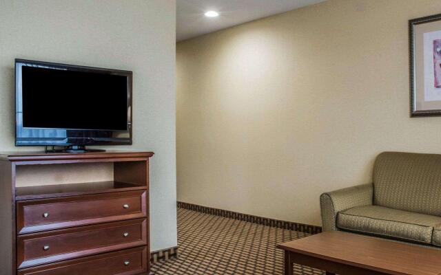 Comfort Inn & Suites Farmington - Victor