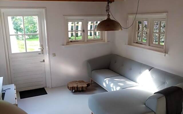 Studio Blue Beech