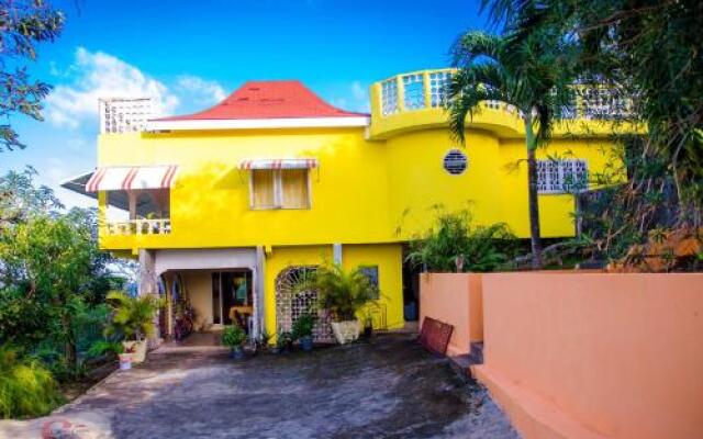 Ackee Tree Sea View Villa