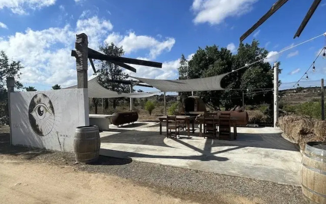 Wine country In Valle de Guadalupe