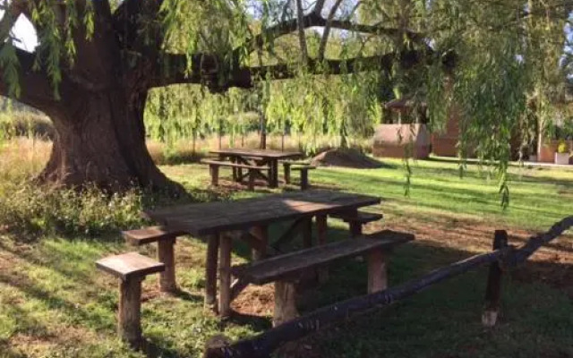 Rincón Sur Cabañas