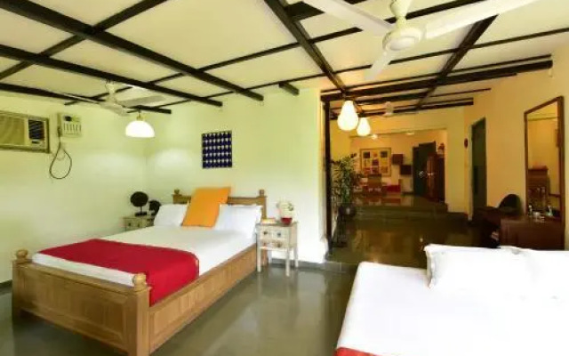 Tooth Mountain Farms