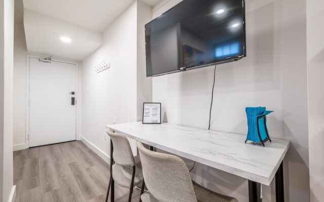 Spacious Newly Renovated 1 Bedroom Suite