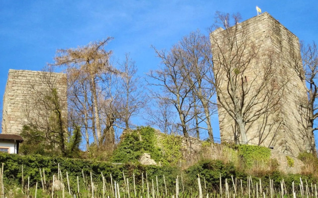 Stilvolle FeWo *Rebland* Balkon-Netflix-Parking