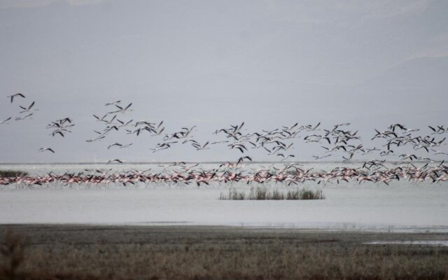 Sultan Pansion Bird Paradise