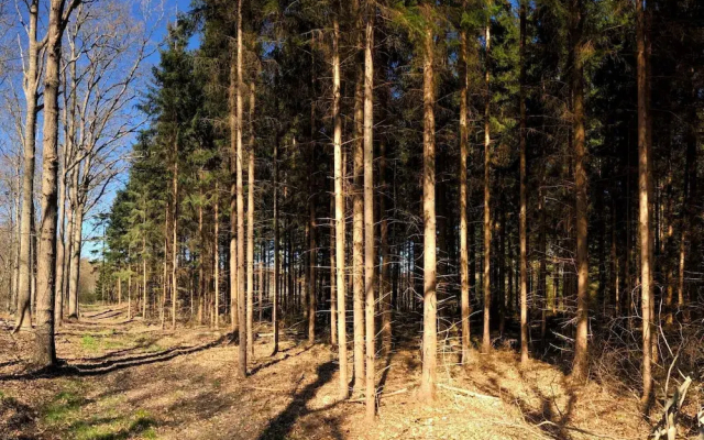 4 Star Holiday Home in Karrebaeksminde