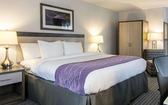 Comfort Inn Williamsburg Gateway