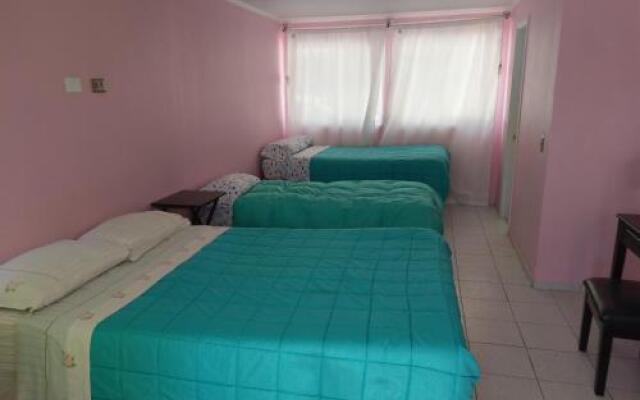 Hotel concon plaza