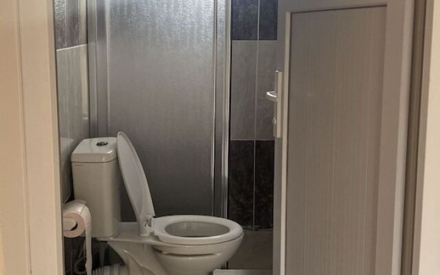 Airport Forest Room