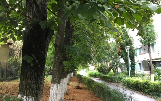 Peles Green Apartment