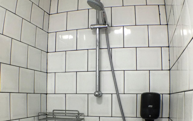 Дерево — фото