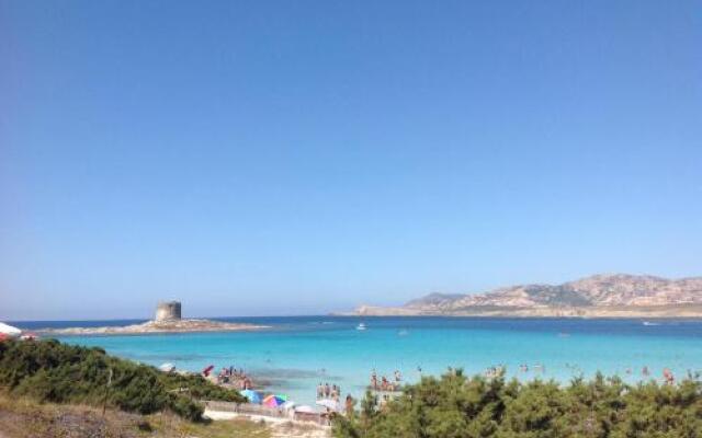 Appartamento Paradiso