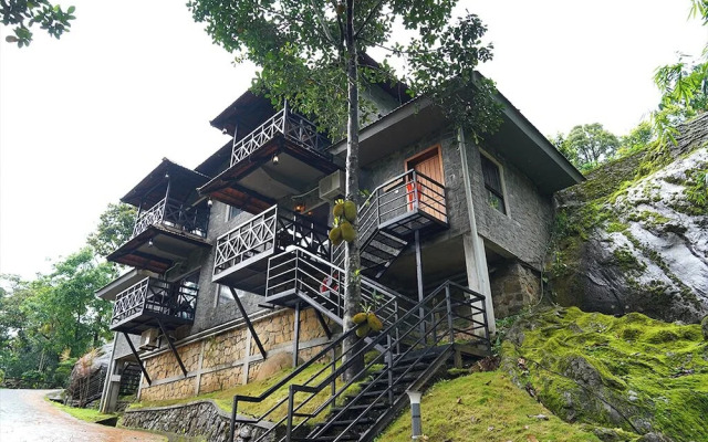 The Wild Trails Clarks Exotica Munnar