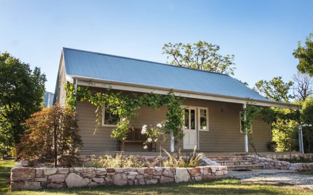 Johanna NEW MODERN HOUSE