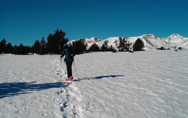 Chambres d'Hotes Ecogite du Mas de Trape