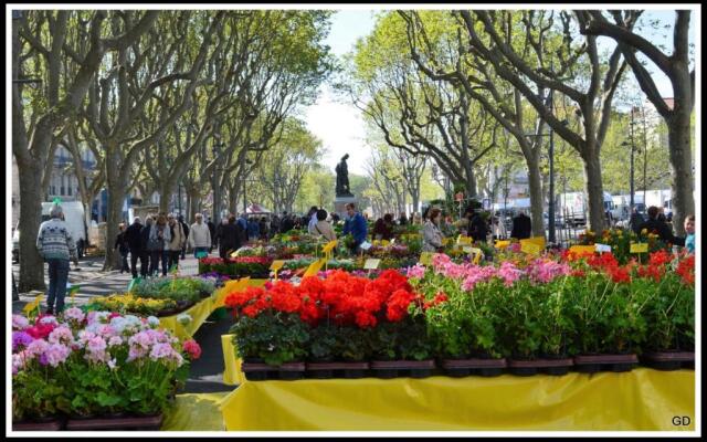 Duplex Confort et Charme