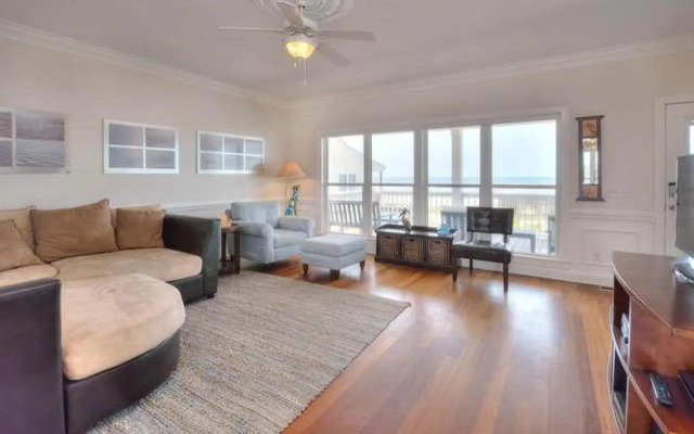 Stranded Indolphinitely