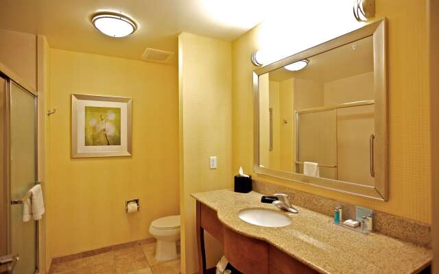 Hampton Inn Ringgold-Ft. Oglethorpe