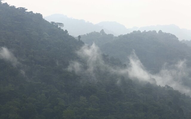 Silverback Lodge