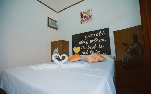 D' Backpackers' Barn - Hostel