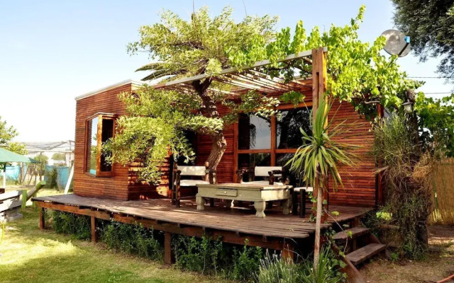 Sangiovese Club House