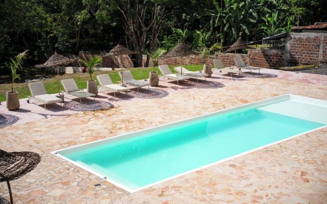 Trip Monkey del Río