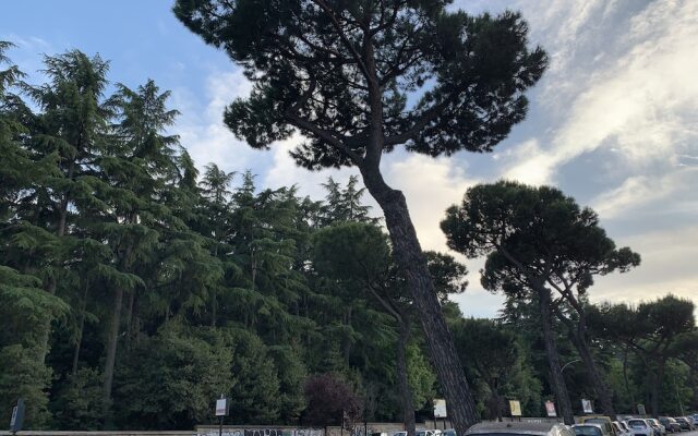 Roma Amor 396 Guest House