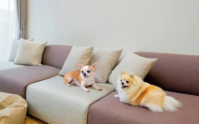 Rakuten STAY VILLA Yatsugatake – Guest Rooms – Hokuto