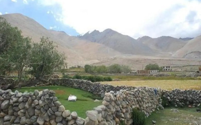 The Buddha Camp