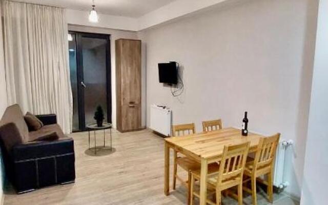 Apartment Bakuriani Plaza 512