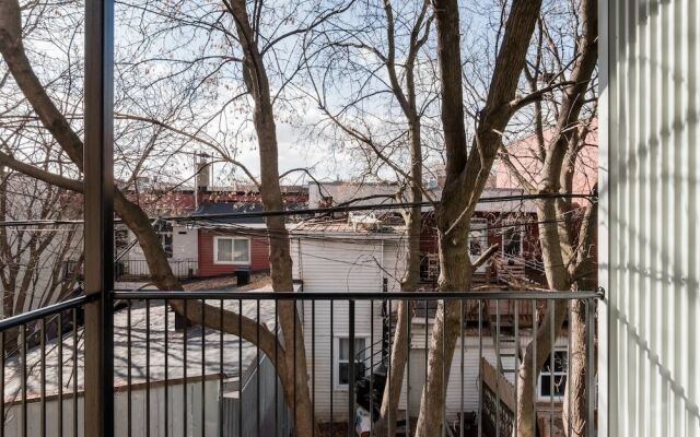 Discover Little Italy From a Bright Apartment