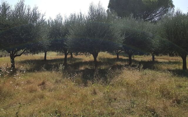 Mas du Caroubier Maison d'Hotes