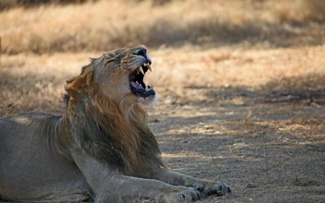 Club Mahindra Sasan Gir