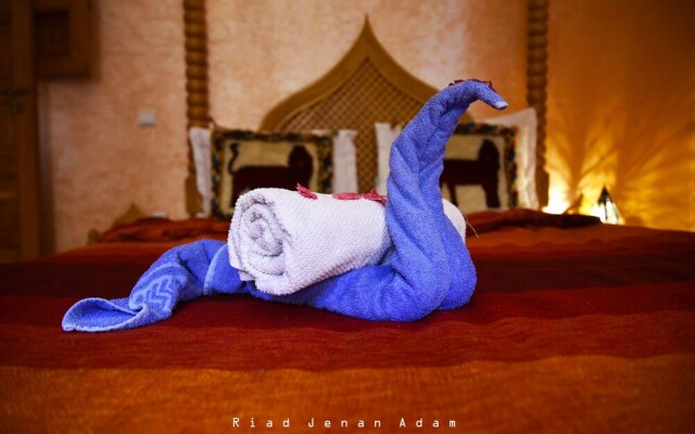 Riad Snan13