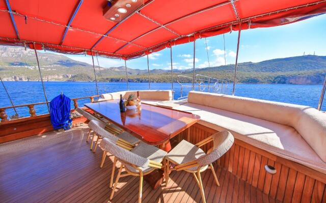 Blue Cruise