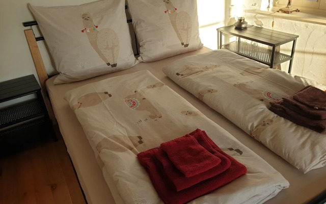 La Alqueria de las Alpacas - Alpakas am Ardey