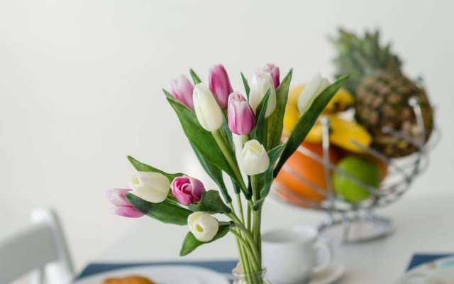 Cin & Co Central Apartments