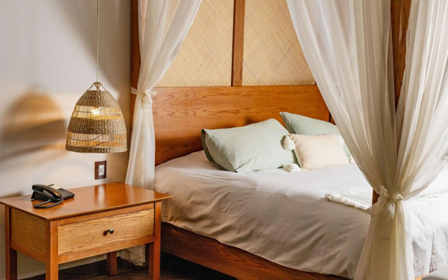 Soul Spring Sanctuary Cuernavaca