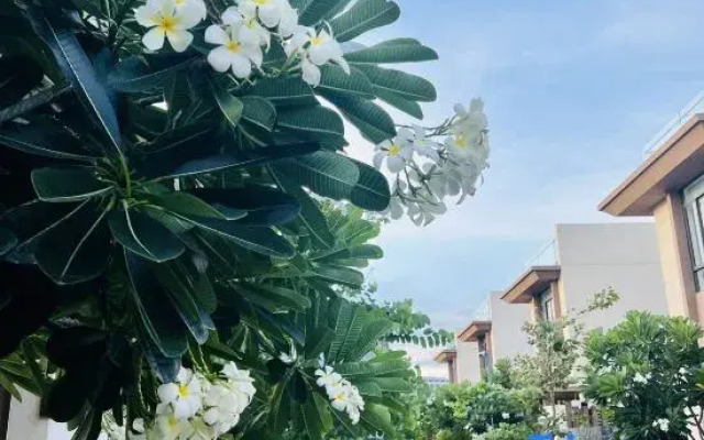 Wyndham Cam Ranh Villas