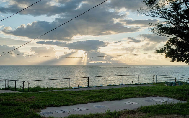 Yukusa Ohsumi Umi no Gakko