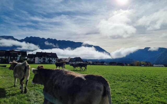 Urlaub am Bauernhof bei Familie Steinbrecher