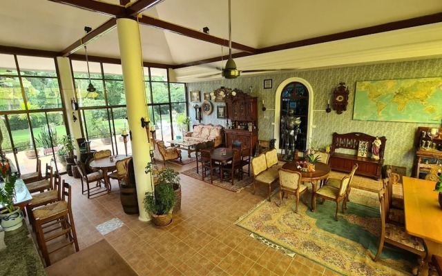 Welcome to our Oasis The Beautiful Bungalow Green