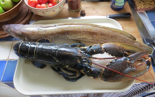 Holiday Home, Plouneour Brignogan Plages