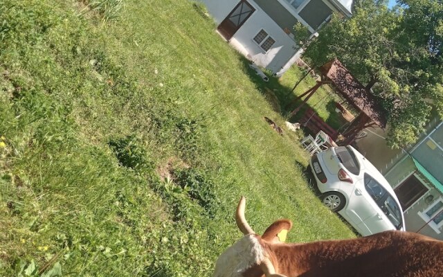 Room in Guest Room - Rural Holiday Transylvania