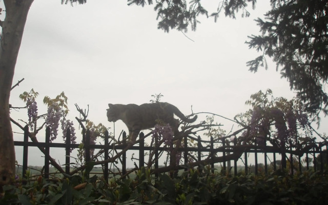 Casa Leonardo da Vinci