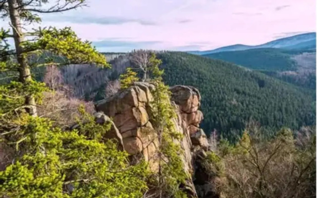 Apartment in Harz Near Brocken Railway