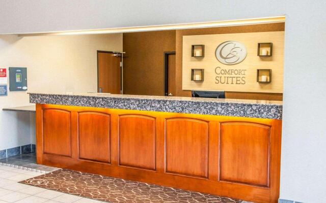 Comfort Suites Auburn near I-69
