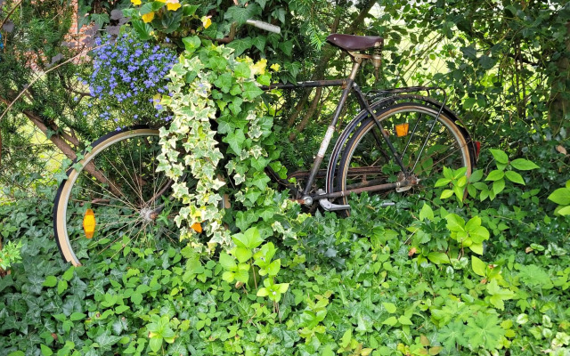 Ferienwohnung Reiners