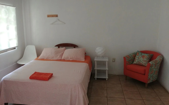 Selva Color Forest & Beach Ecolodge - фото 4