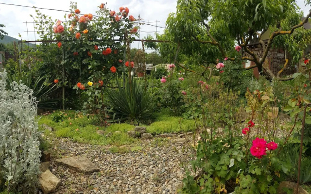 Flowering garden